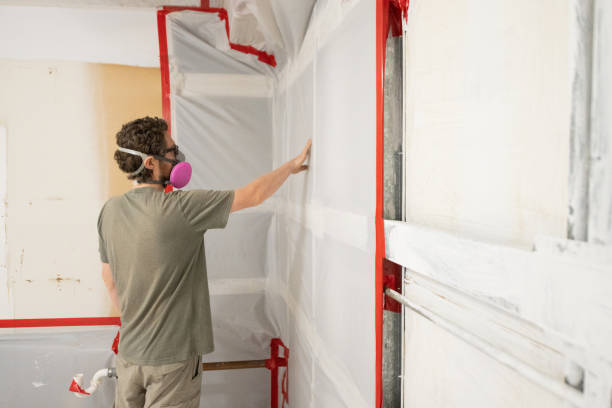 Best Mold Removal for HVAC Installations  in New Haven, IN